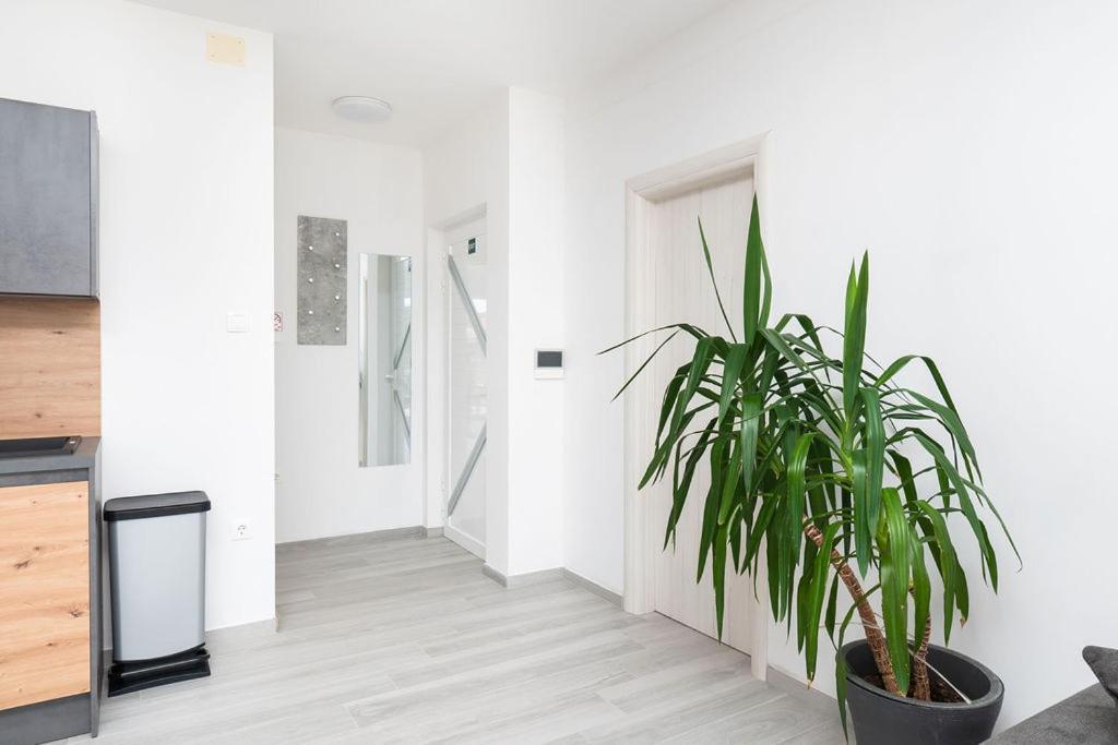 Apartments Grubisic - Sibenik - Parking Included Экстерьер фото